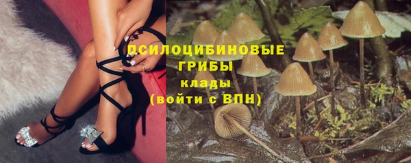 ECSTASY Балахна